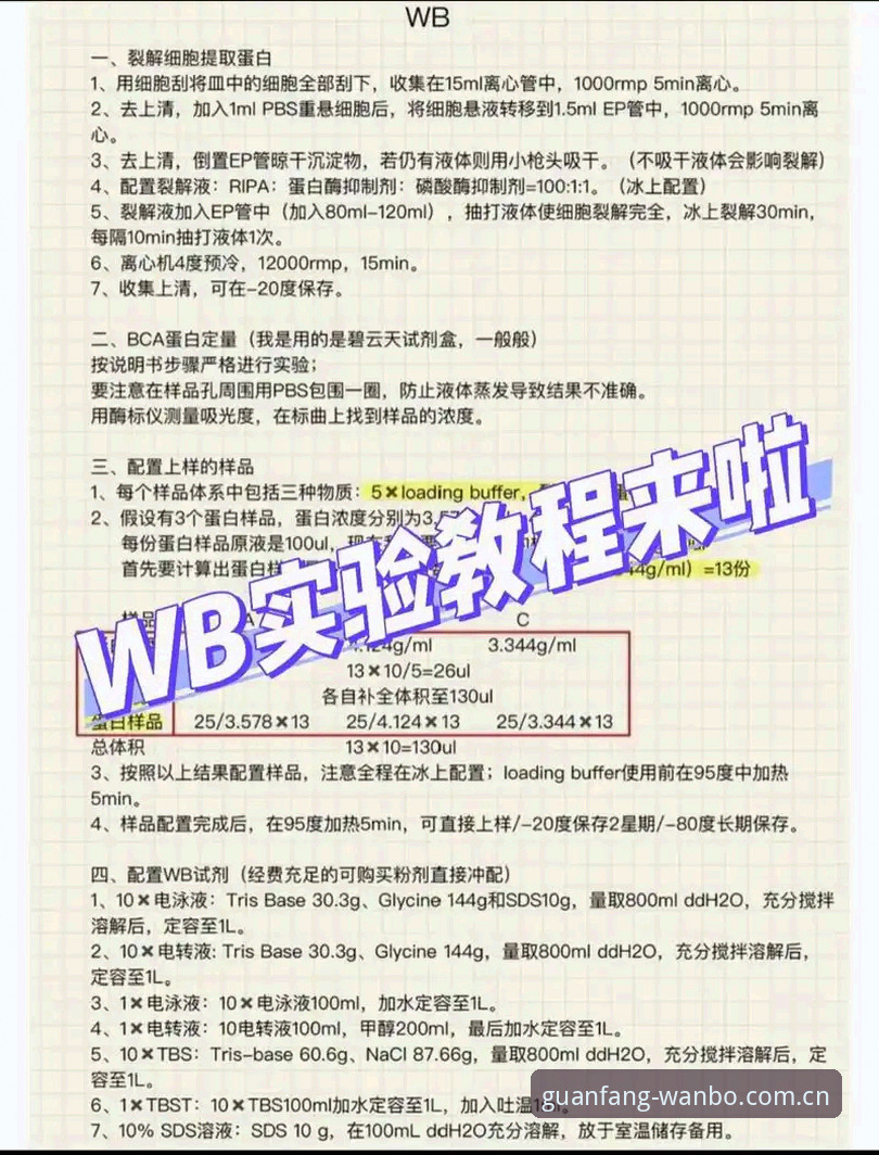 WBQZ下载安装vs万博全站App注册：新手入门对比指南，官网登录官方下载一步到位